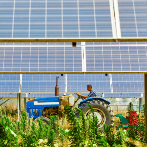 Irrigation Solar Field home