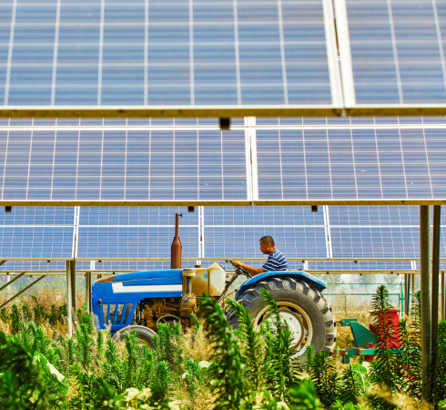 Irrigation Solar Field
